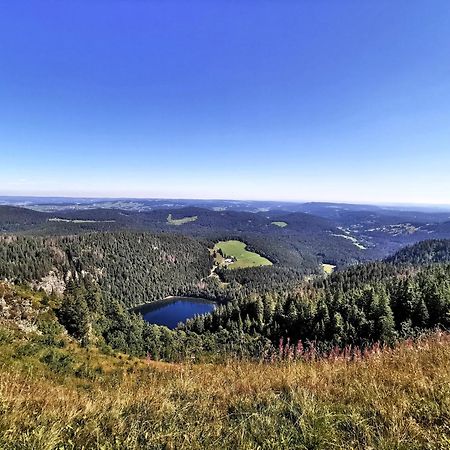 Appartement Residenz Grafenmatt "Abendsonne" à Feldberg  Extérieur photo