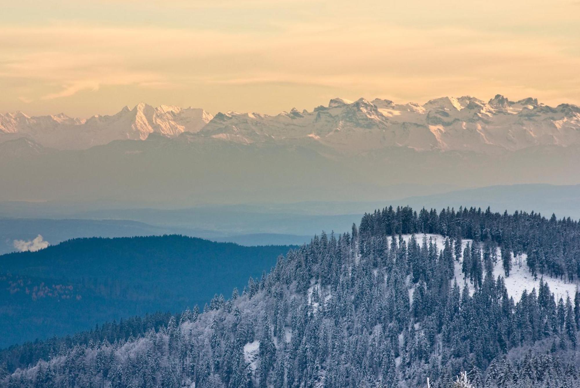 Appartement Residenz Grafenmatt "Abendsonne", Feldberg à Rinken Extérieur photo