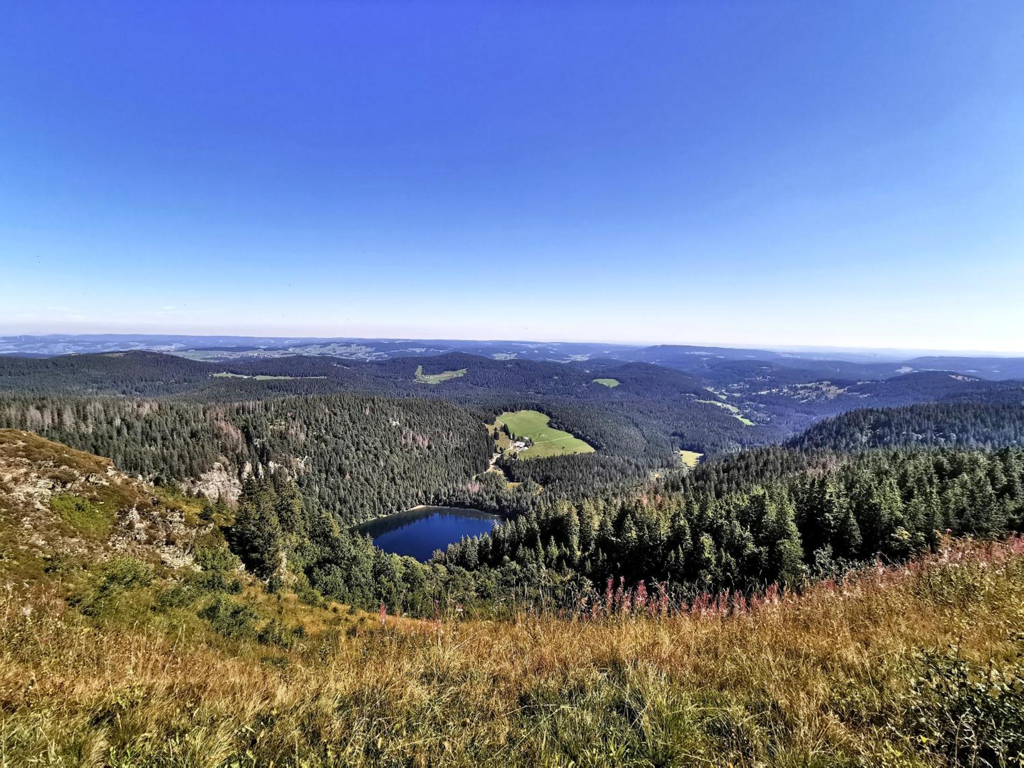 Appartement Residenz Grafenmatt "Abendsonne", Feldberg à Rinken Extérieur photo
