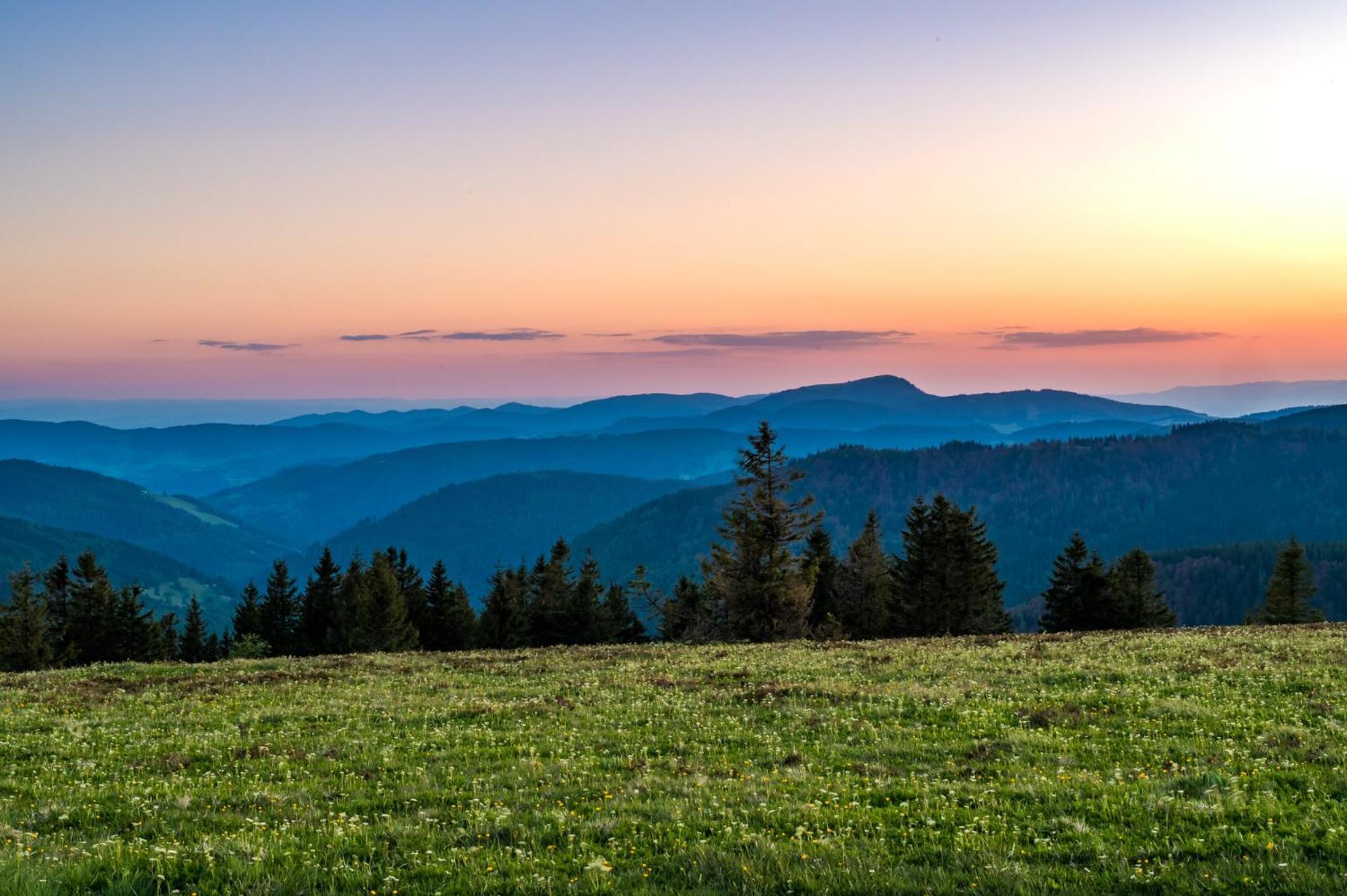 Appartement Residenz Grafenmatt "Abendsonne", Feldberg à Rinken Extérieur photo